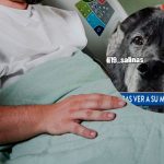 Foto: Veterinario muere por intoxicación mientras atendía a un perro en Nueva York / Cortesía