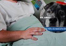 Foto: Veterinario muere por intoxicación mientras atendía a un perro en Nueva York / Cortesía
