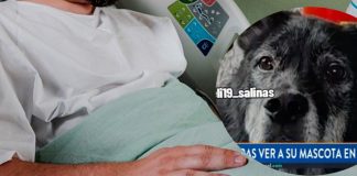 Foto: Veterinario muere por intoxicación mientras atendía a un perro en Nueva York / Cortesía