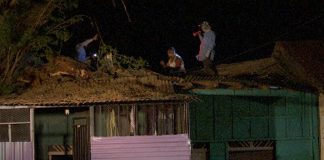 Foto: Vecinos piden corte total de árbol centenario tras caer rama sobre dos viviendas en Managua/TN8