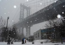 Foto: Nueva York entra en emergencia por ola de frío ártico / Cortesía