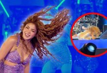 Foto: Shakira sufrió fuerte caída en su concierto en El Salvador /Cortesía