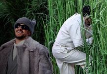 Esto cobraron los arbustos vivientes del show de Bad Bunny Foto: Revelan el salario de los participantes del show de Bad Bunny/Cortesía