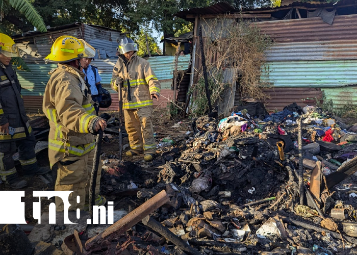 Foto: Voraz incendio deja sin hogar a un adulto mayor y mata a varios perritos en Las Jagüitas/TN8