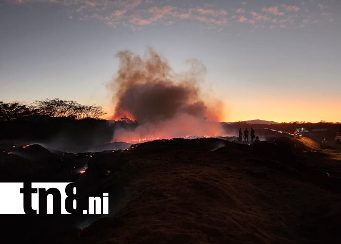 Foto: Incendio controlado en Lomas de Granada por bomberos/TN8
