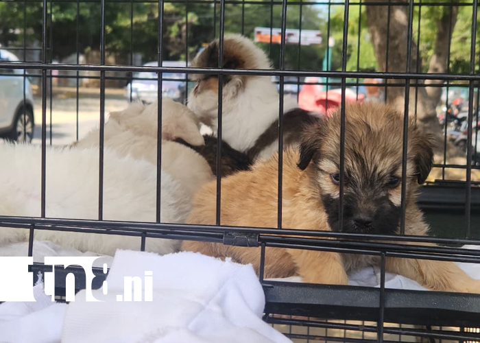 Foto: El trabajo diario de Casa Hogar Lucito /cortesía 