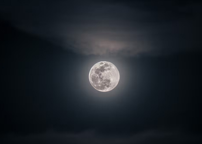 Foto: Año Nuevo Lunar 2026 comenzó el 17 de febrero: la Luna marca el nuevo ciclo / Cortesía
