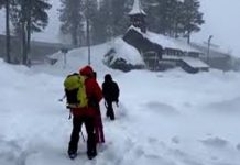 Avalancha en California deja seis rescatados y diez desaparecidos Foto: Dos hospitalizados tras avalancha en montaña de California / Cortesía