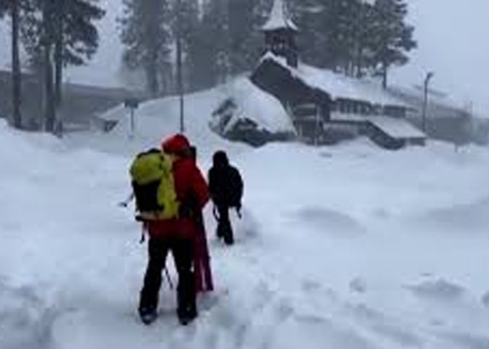 Foto: Dos hospitalizados tras avalancha en montaña de California / Cortesía