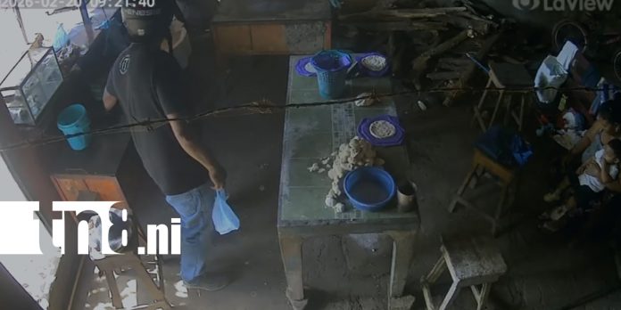 Foto: Hombre roba celular de vendedora mientras compraba tortillas en chinandega/TN8