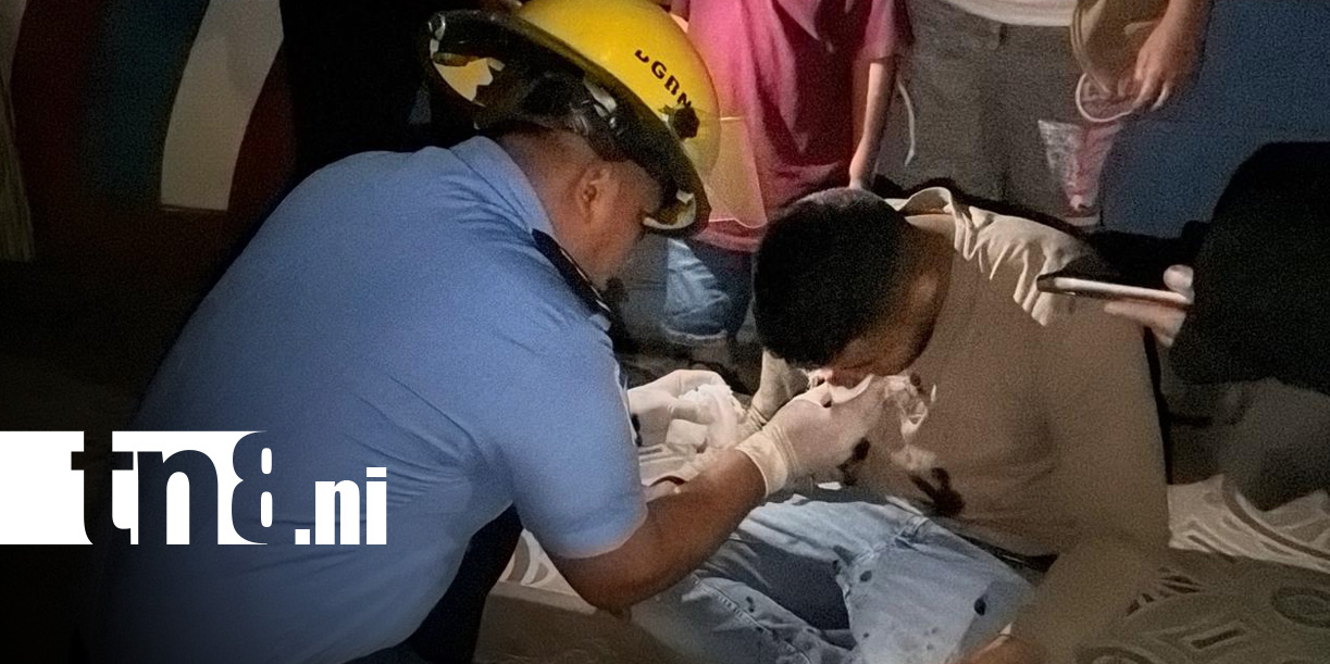 Foto: Accidentes en Jalapa por animales en carreteras/TN8