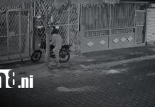 Al estilo Pantera Rosa y con perros ladrando, roban motocicleta en Managua Foto: Al estilo Pantera Rosa y con perros ladrando, roban motocicleta en Managua/TN8