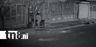 Foto: Al estilo Pantera Rosa y con perros ladrando, roban motocicleta en Managua/TN8