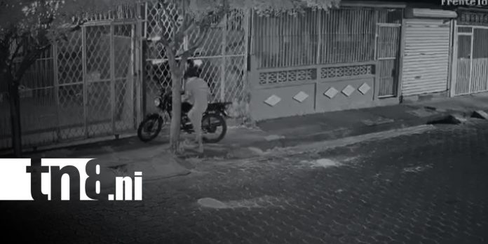 Foto: Al estilo Pantera Rosa y con perros ladrando, roban motocicleta en Managua/TN8