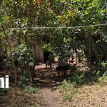 Foto: Mujer es hallada sin vida en Balgüe, Isla de Ometepe / TN8