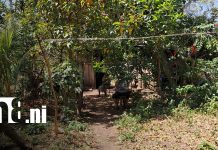 Foto: Mujer es hallada sin vida en Balgüe, Isla de Ometepe / TN8