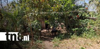 Foto: Mujer es hallada sin vida en Balgüe, Isla de Ometepe / TN8