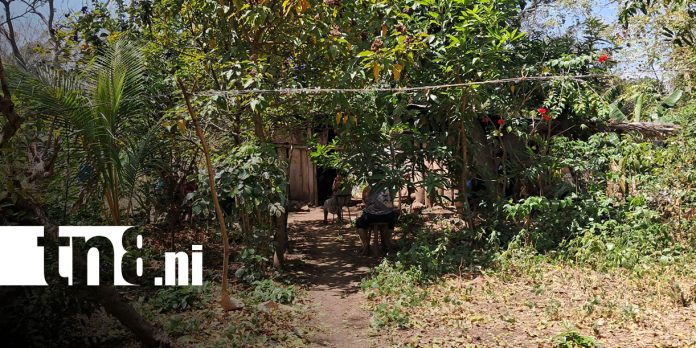 Foto: Mujer es hallada sin vida en Balgüe, Isla de Ometepe / TN8