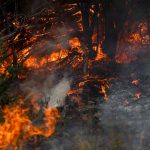 Foto: Sequía y calor extremo agravan incendios en el sur de Argentina / Cortesía