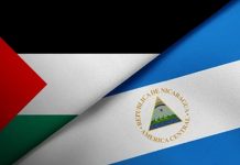Nicaragua fortalece su presencia internacional con nueva representante del PMA y respaldo a Palestina