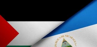 Nicaragua fortalece su presencia internacional con nueva representante del PMA y respaldo a Palestina