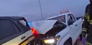 Foto: Video viral revela el riesgo extremo de los controles policiales en E.E.U.U / Cortesía