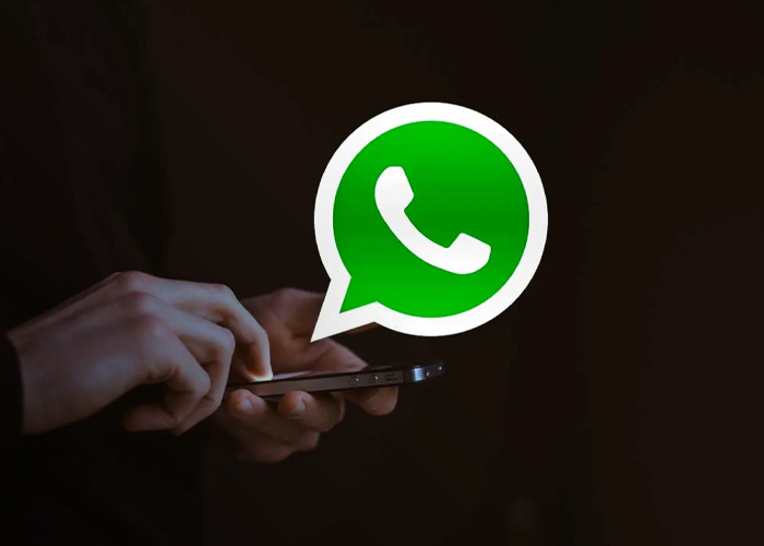 Foto: Copias de seguridad en WhatsApp /cortesía