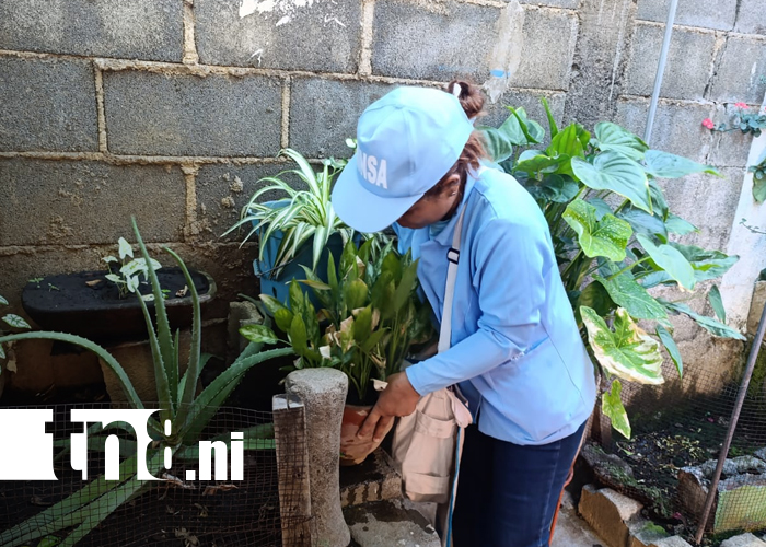 Foto: Febrero inicia con lucha intensa contra el dengue en Monseñor Lezcano / TN8
