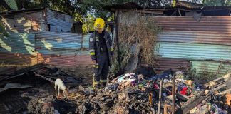 Foto: Voraz incendio deja sin hogar a un adulto mayor y mata a varios perritos en Las Jagüitas/TN8