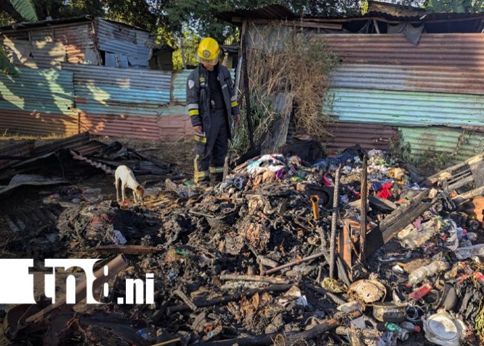 Foto: Voraz incendio deja sin hogar a un adulto mayor y mata a varios perritos en Las Jagüitas/TN8