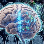 Foto: Terapias contra el Alzheimer/cortesía