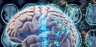 Foto: Terapias contra el Alzheimer/cortesía