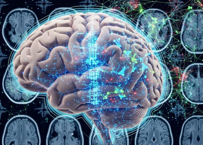Foto: Terapias contra el Alzheimer/cortesía