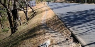 Foto: Fatal accidente en Diriamba cobra la vida de adolescente de 16 años / TN8