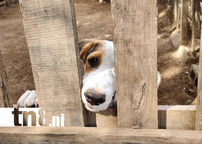 Foto: El trabajo diario de Casa Hogar Lucito /cortesía