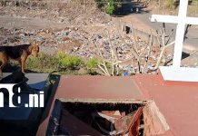 Foto: Colapso de bóvedas en Jinotepe desata alarma y sospechas de profanación / TN8