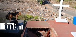 Foto: Colapso de bóvedas en Jinotepe desata alarma y sospechas de profanación / TN8