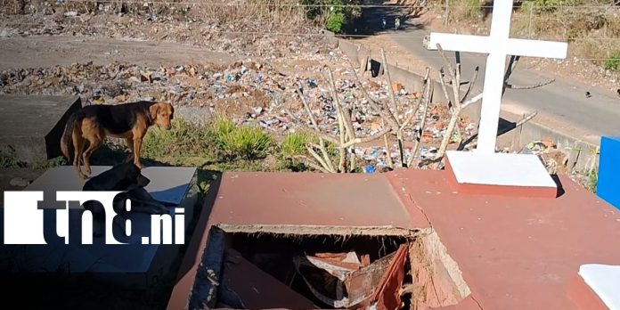 Foto: Colapso de bóvedas en Jinotepe desata alarma y sospechas de profanación / TN8