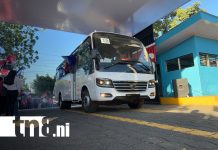 Foto: Llegan 180 nuevos microbuses para transformar el transporte público/TN8