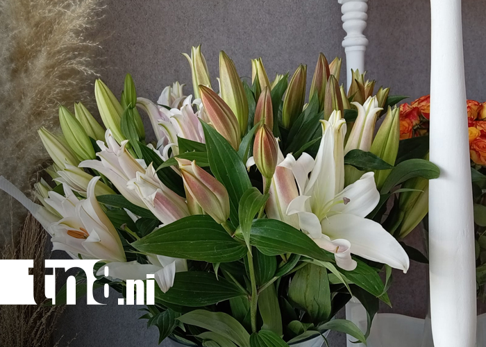 Foto: Flores y detalles que enamoran en San Valentín/ TN8