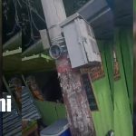 Foto: Árbol histórico colapsa en la carretera a Masaya tras fuertes ráfagas de viento/ TN8