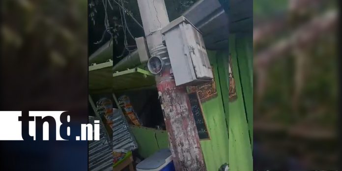 Foto: Árbol histórico colapsa en la carretera a Masaya tras fuertes ráfagas de viento/ TN8