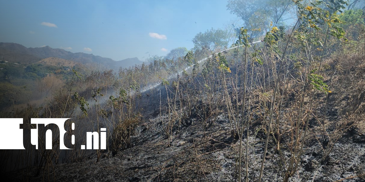 Foto: Incendio de maleza moviliza a Bomberos Unidos en el Mirador del Espinito, Somoto/TN8