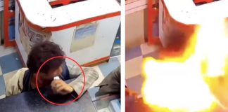 Foto: Incidente en India: batería de celular estalla luego de ser mordida /Cortesía