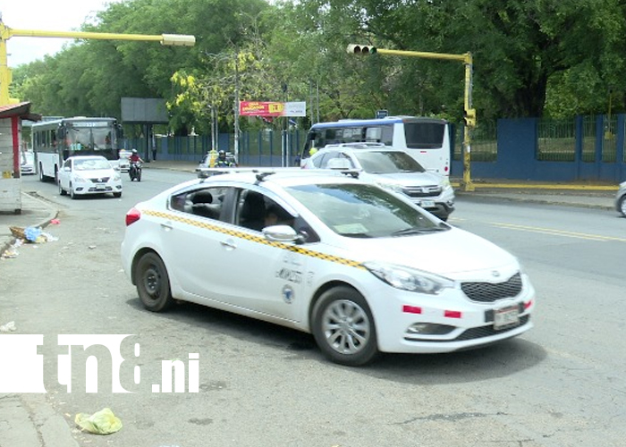 Foto: Taxistas vs inDrive: ¿Quién debería dominar las calles de la Managua? /TN8