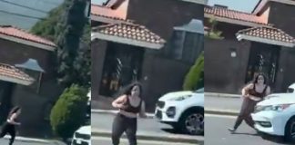 Foto: Atropello en Paseo de los Leones, México, queda registrado en video /Cortesía
