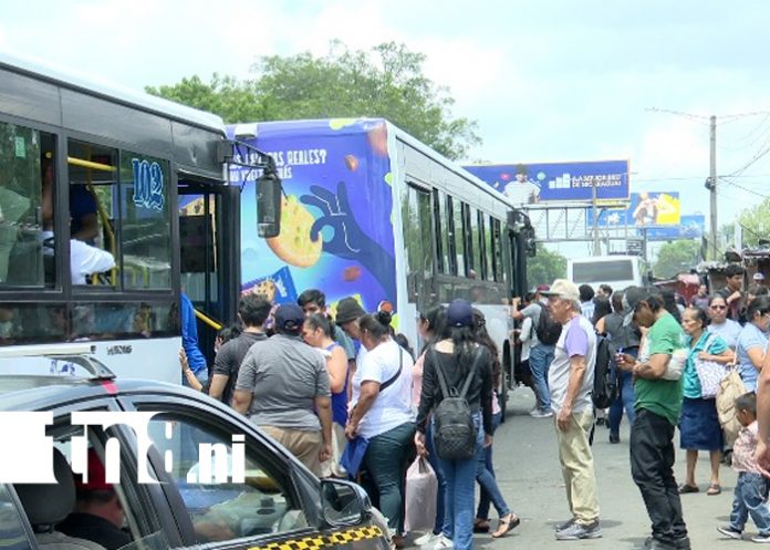 Foto: Taxistas vs inDrive: ¿Quién debería dominar las calles de la Managua? /TN8