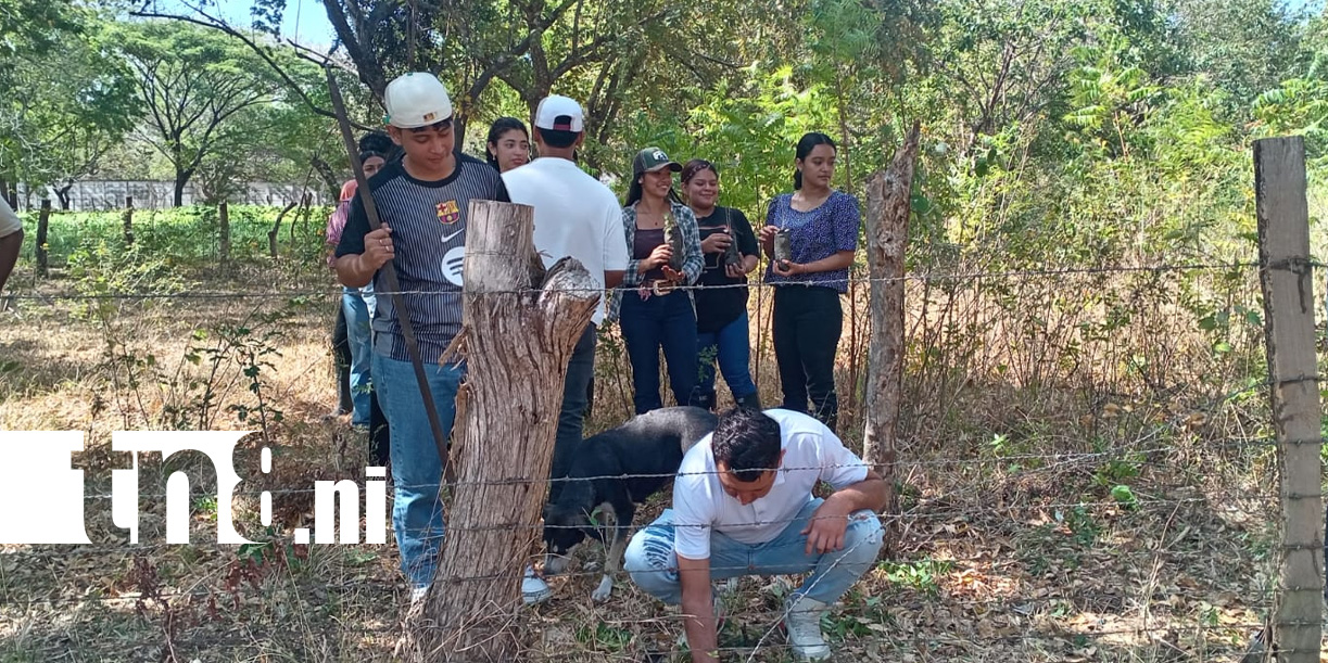 Foto: Juventud honra legado de Sandino con reforestación/TN8