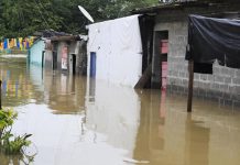 Tragedia climática en Colombia: inundaciones dejan 14 fallecidos en Córdoba Crisis climática golpea a Colombia: Córdoba bajo el agua y 14 fallecidos