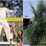 Foto: $5,000 por el disfraz de arbusto del show de Bad Bunny en el Super Bowl LX/Cortesía